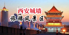 羞羞哒哒国产精品www在线中国陕西-西安城墙旅游风景区