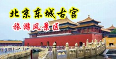 欧美喷水色情尿尿中国北京-东城古宫旅游风景区