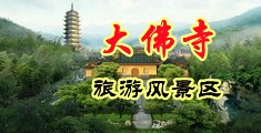 粗鸡巴日女:黑黑的逼视频中国浙江-新昌大佛寺旅游风景区